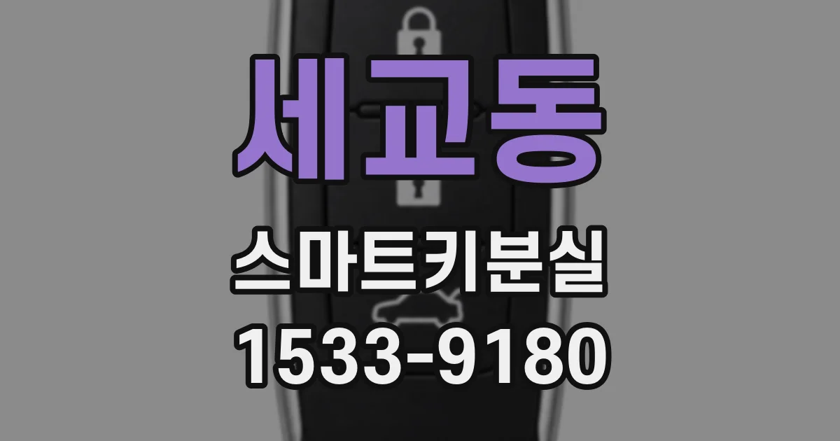 세교동 스마트키분실