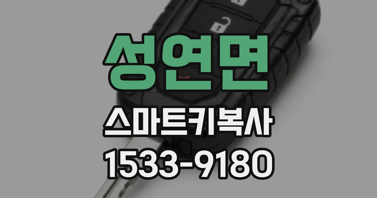 성연면 스마트키복사