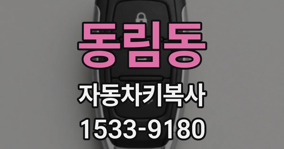 동림동 자동차키복사