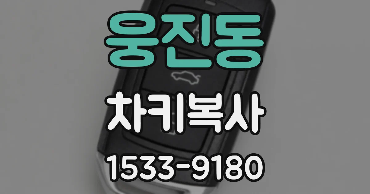 웅진동 차키복사