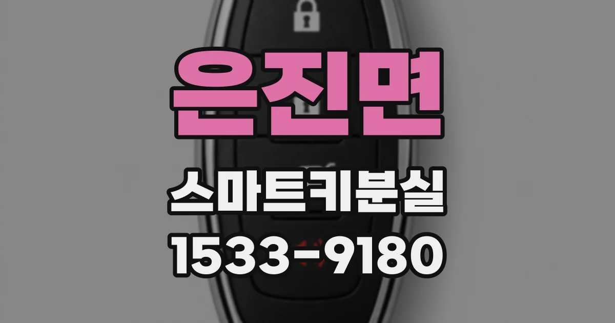 은진면 스마트키분실