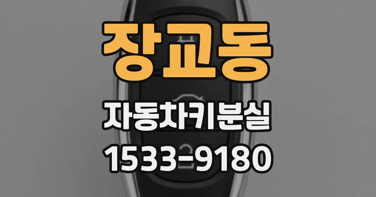 장교동 자동차키분실
