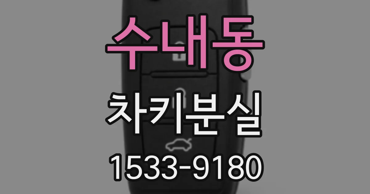 수내동 차키분실
