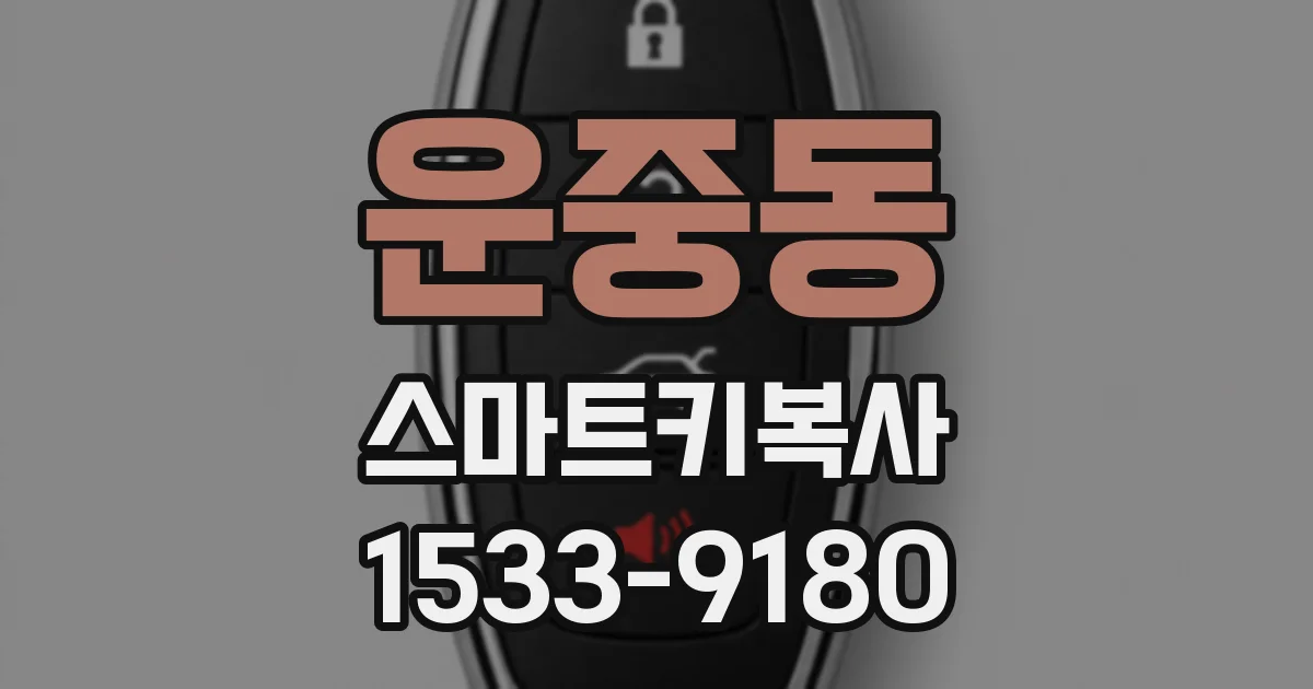 운중동 스마트키복사