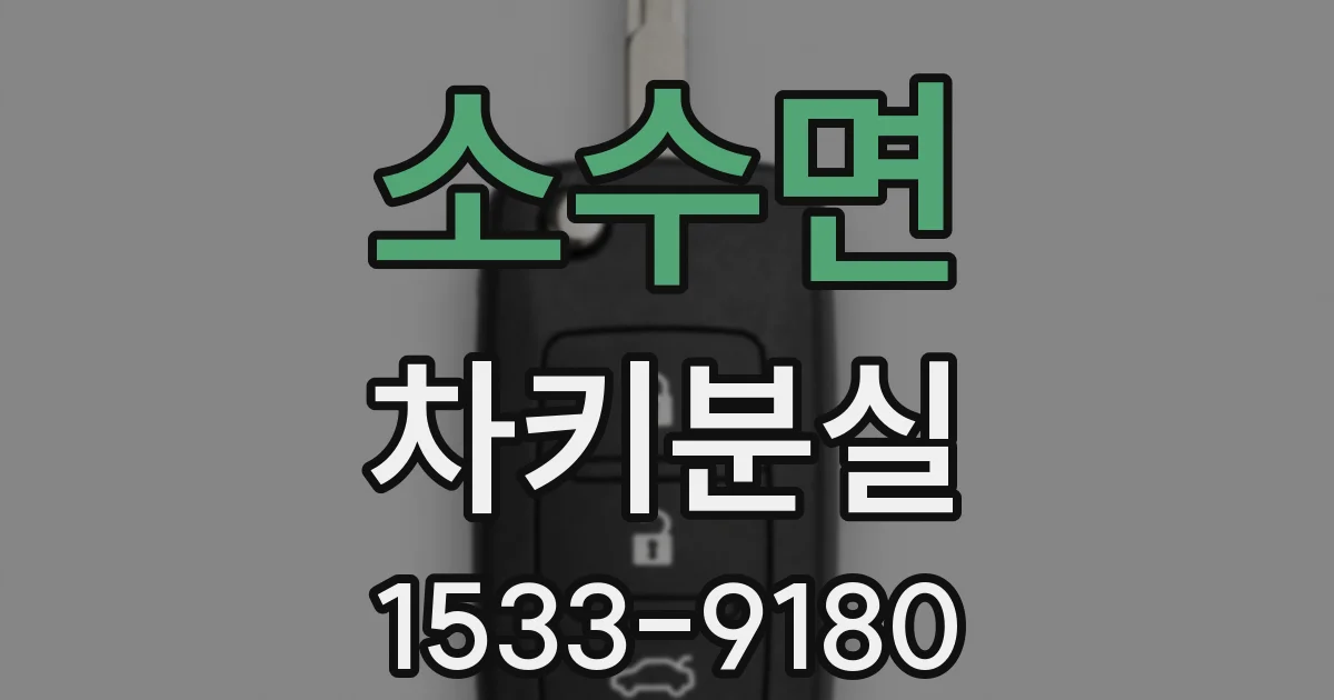 소수면 차키분실