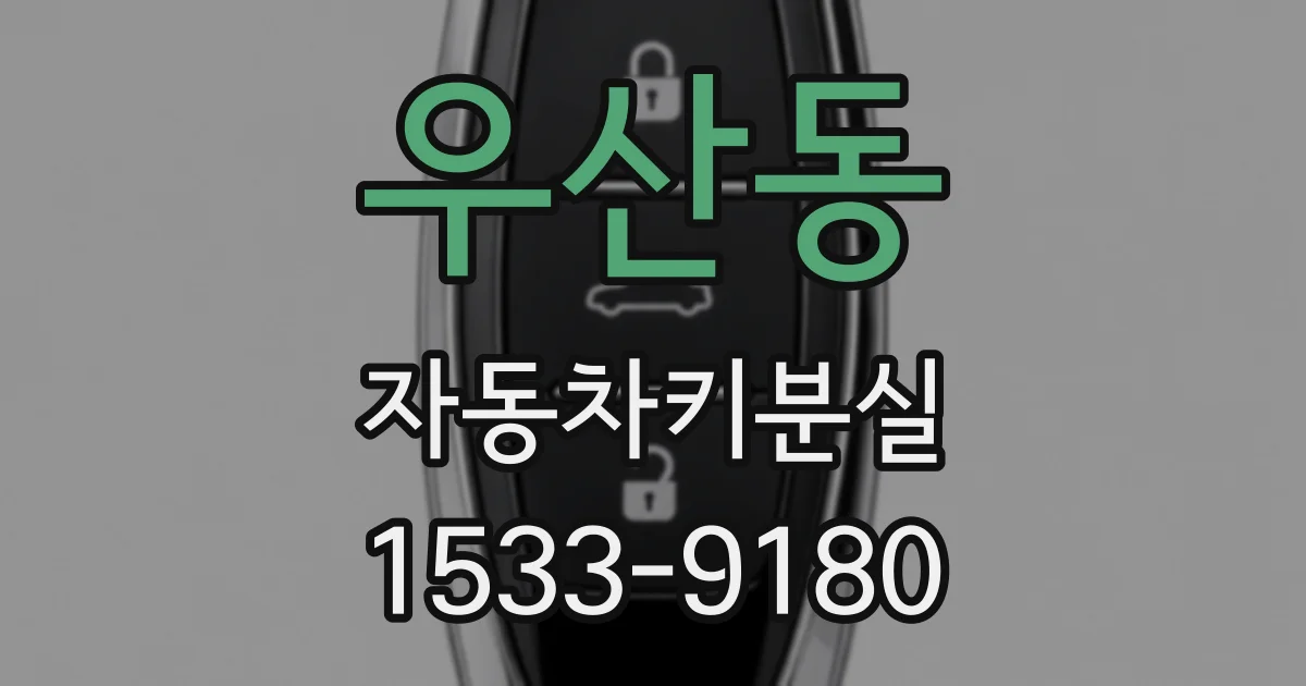 우산동 자동차키분실