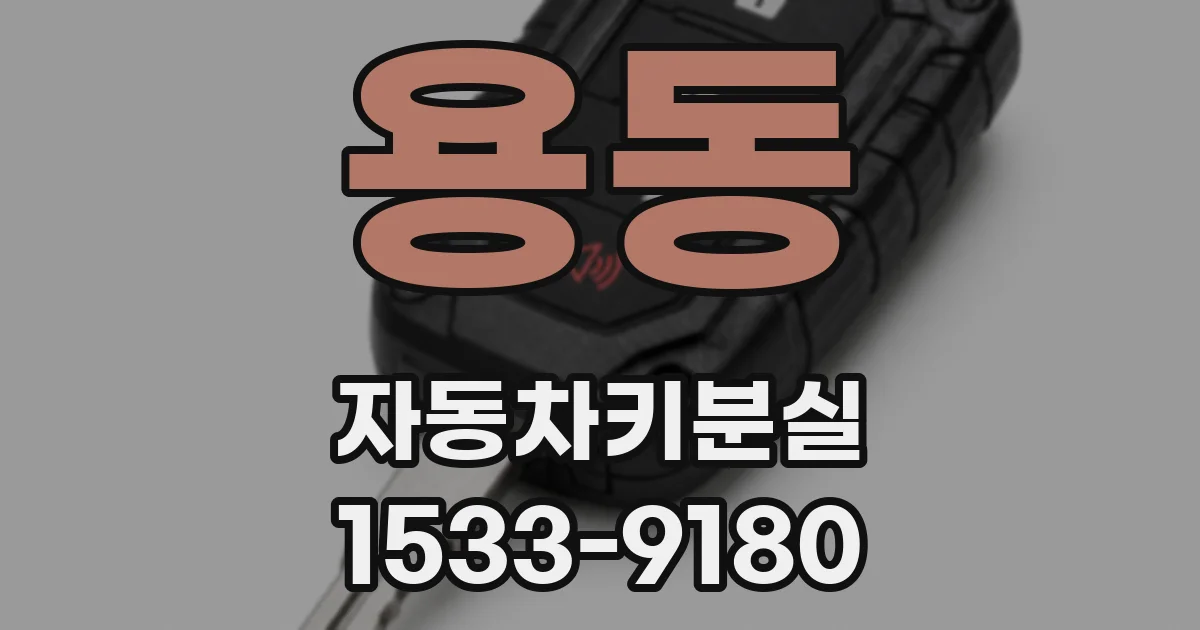 용동 자동차키분실