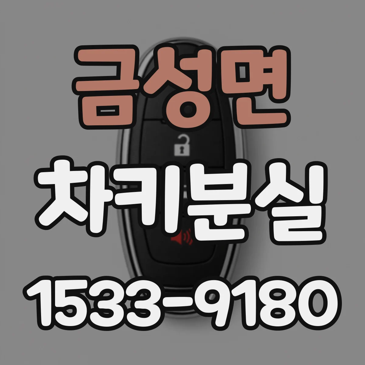 금성면 차키분실