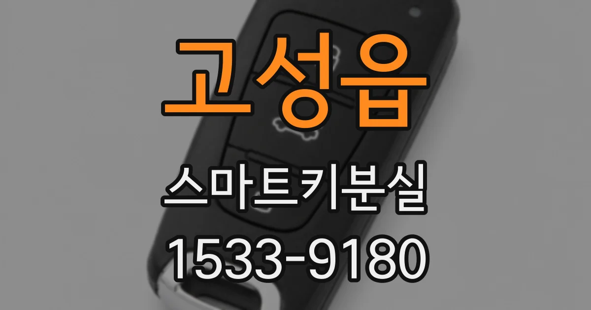 고성읍 스마트키분실