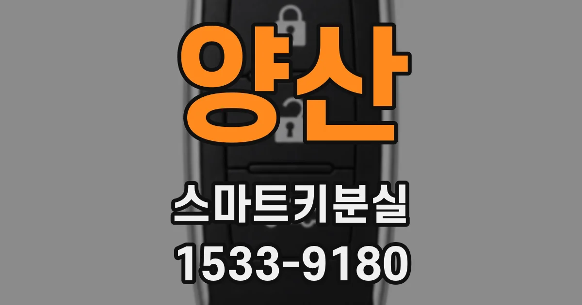 양산 스마트키분실