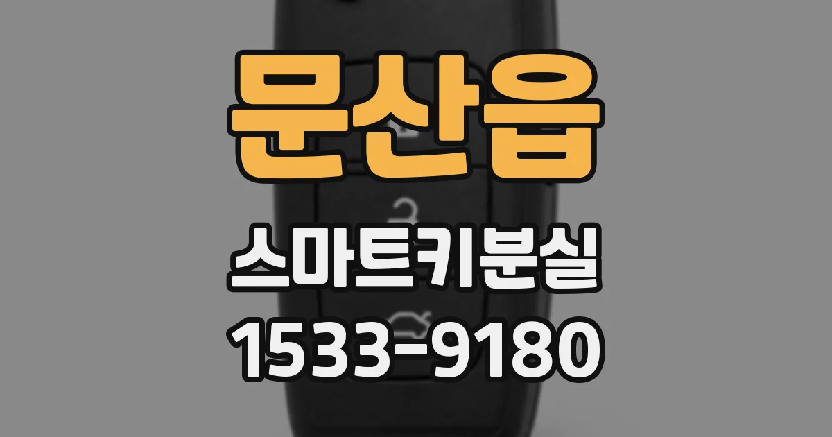 문산읍 스마트키분실