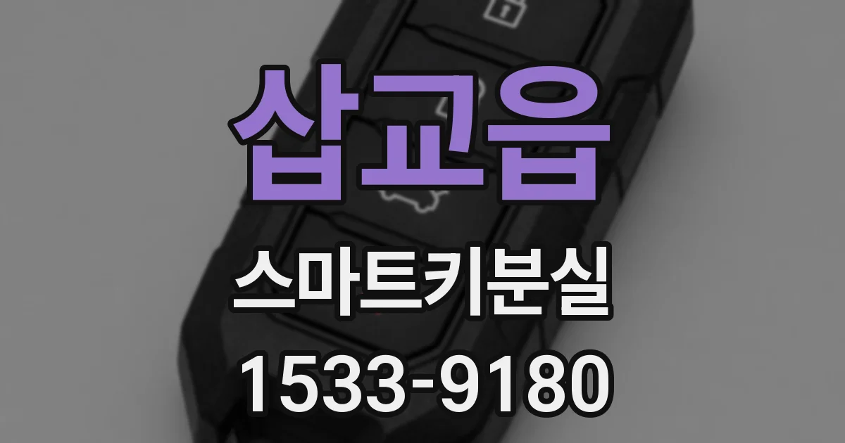 삽교읍 스마트키분실