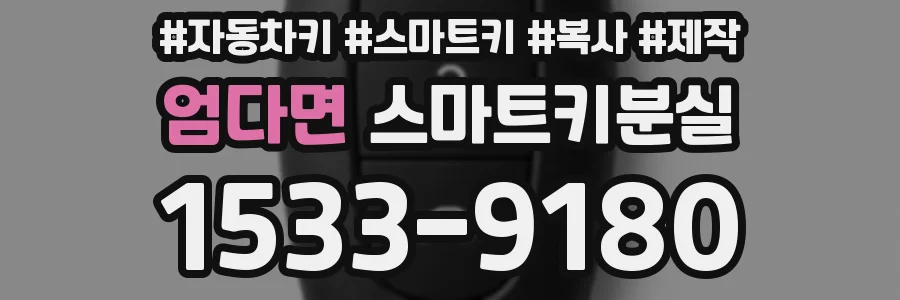 엄다면 스마트키분실