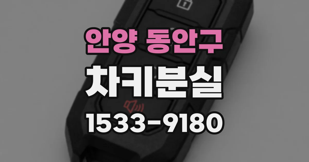 안양 동안구 차키분실