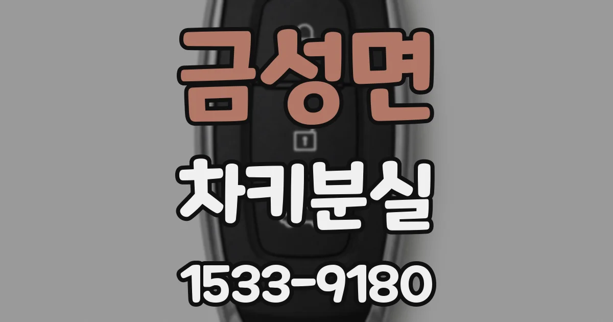 금성면 차키분실