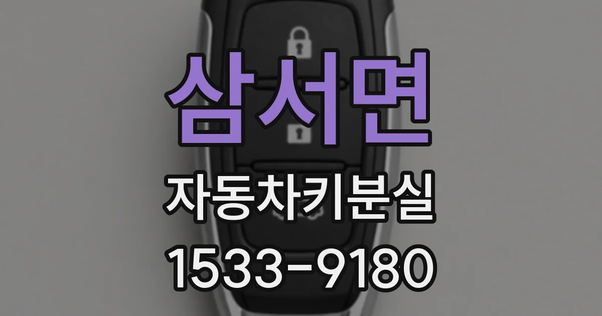 삼서면 자동차키분실