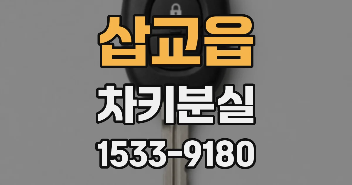 삽교읍 차키분실