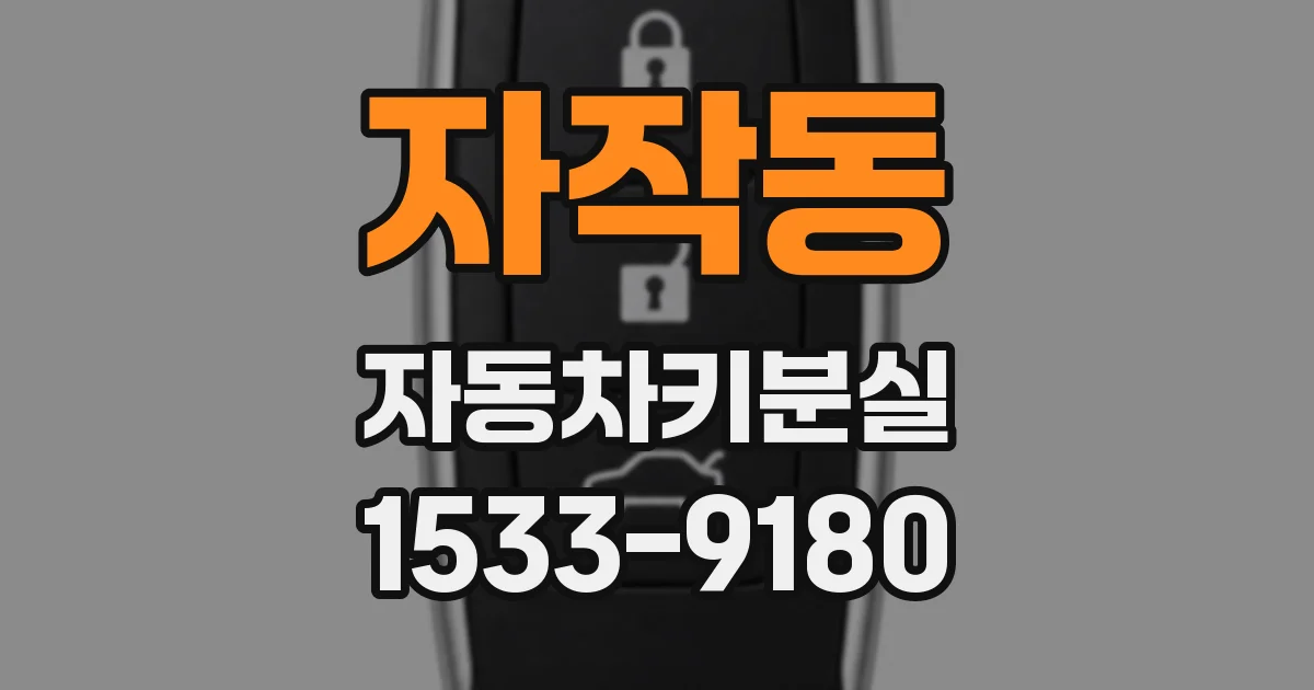 자작동 자동차키분실
