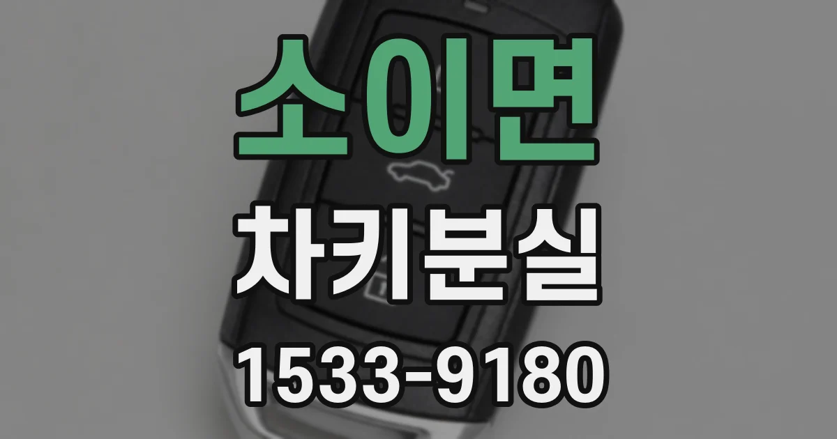 소이면 차키분실