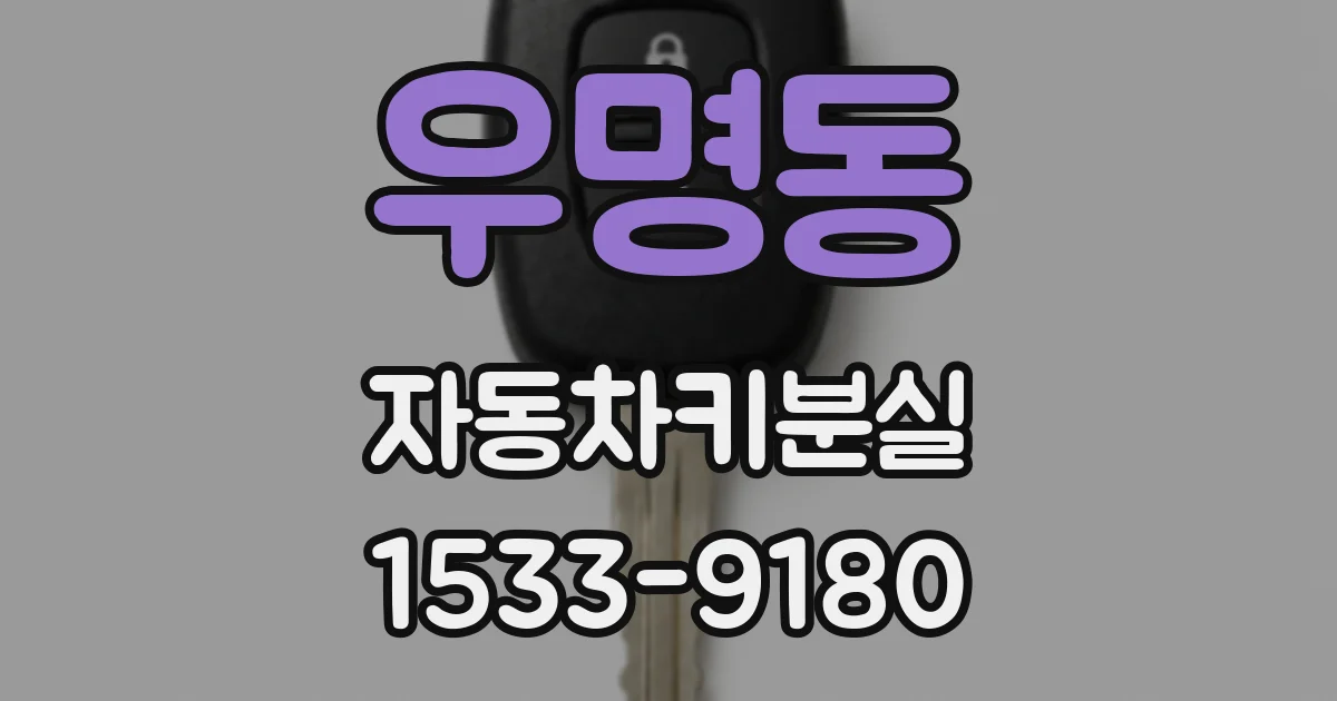 우명동 자동차키분실