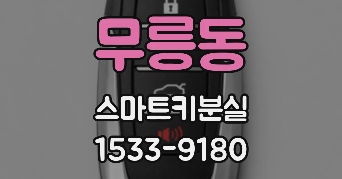 무릉동 스마트키분실