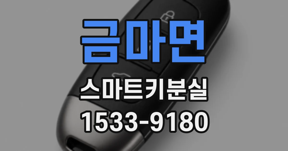 금마면 스마트키분실