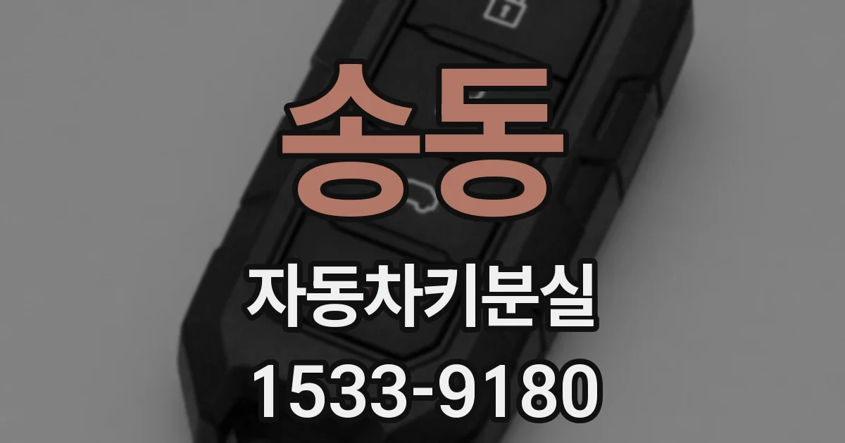 송동 자동차키분실
