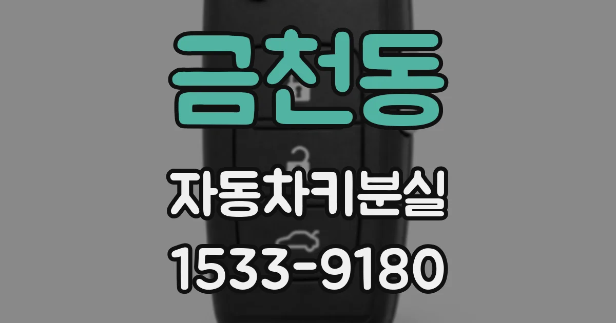 금천동 자동차키분실
