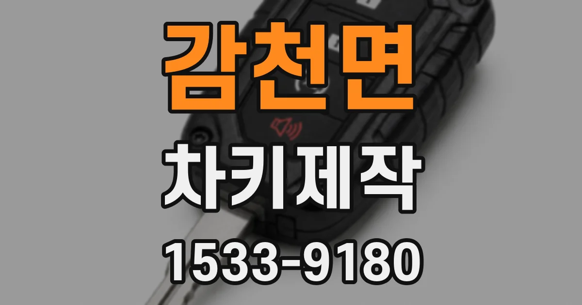 감천면 차키제작