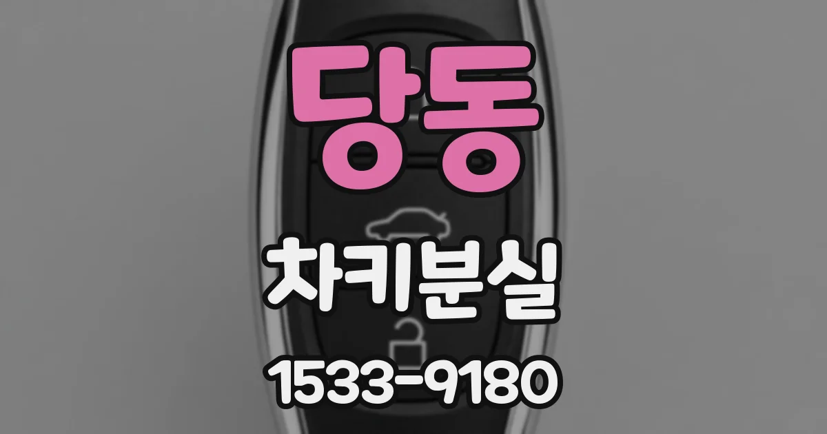 당동 차키분실