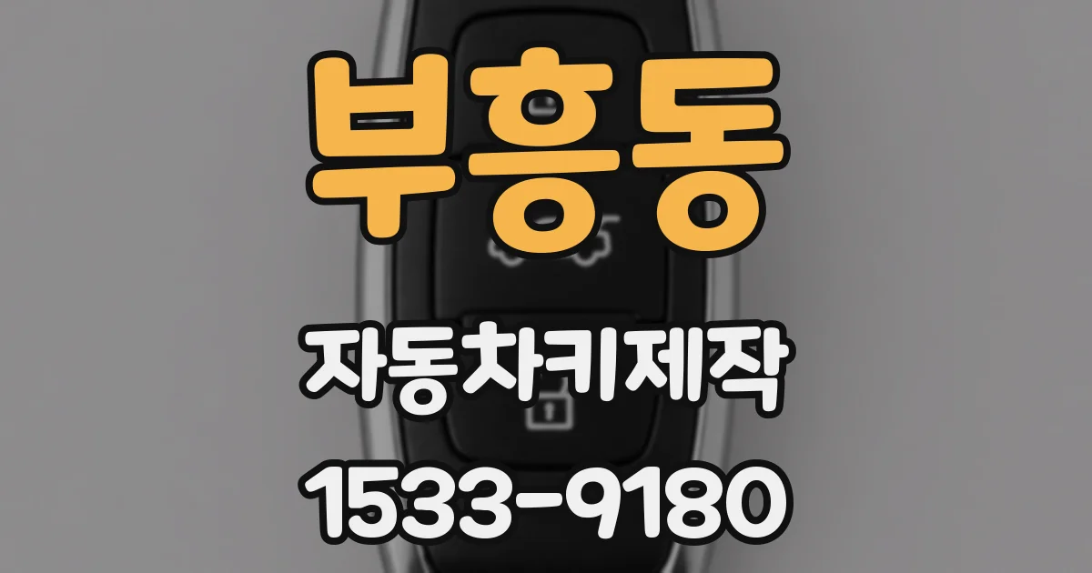 부흥동 자동차키제작