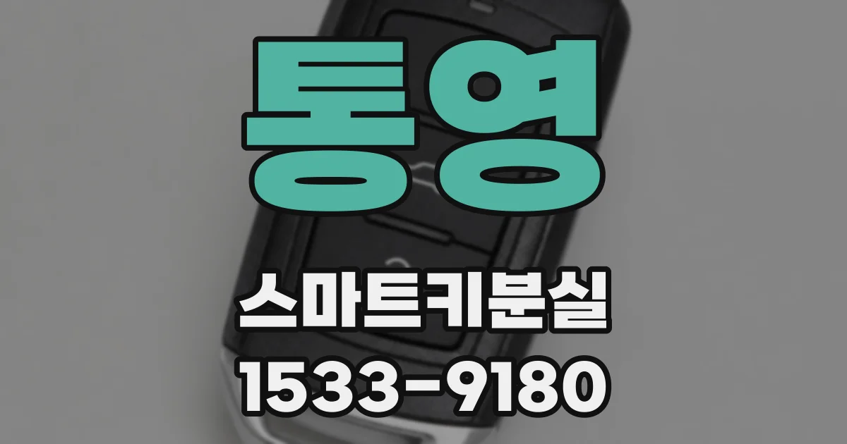 통영 스마트키분실