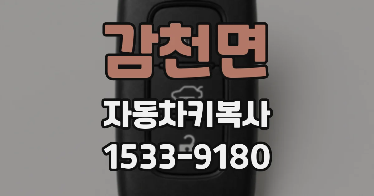감천면 자동차키복사