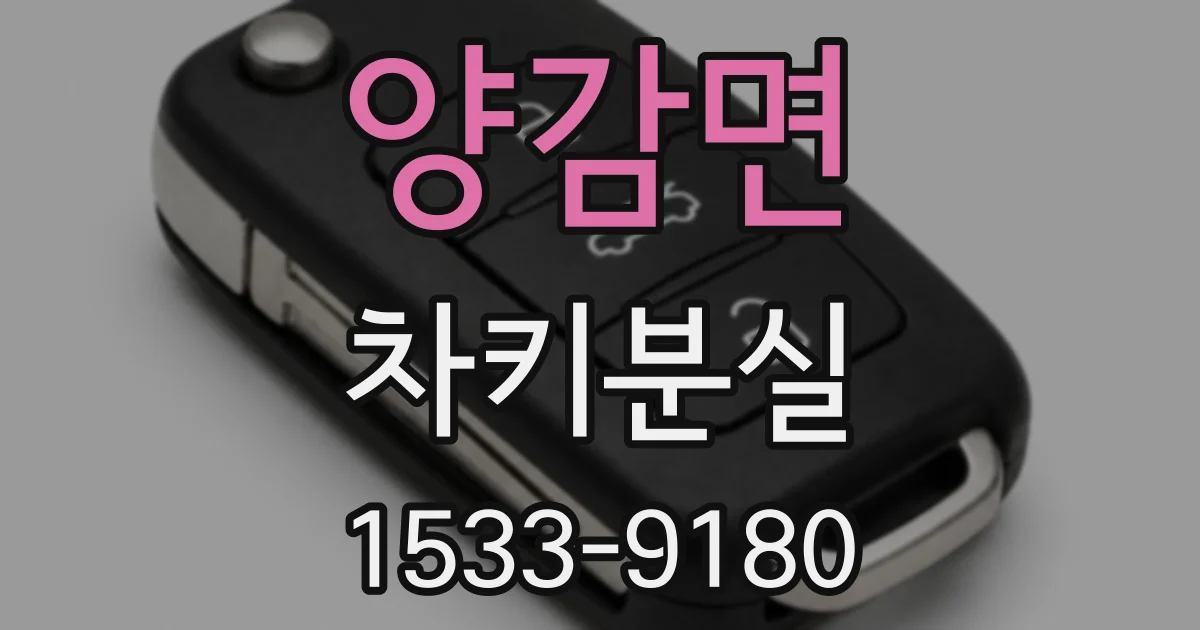 양감면 차키분실