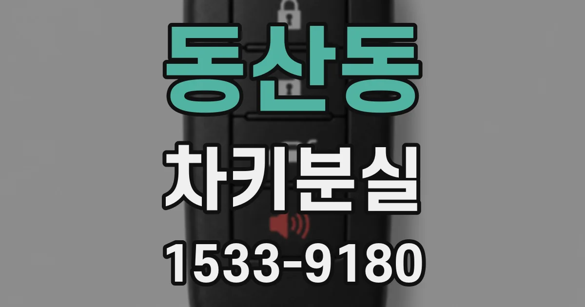 동산동 차키분실