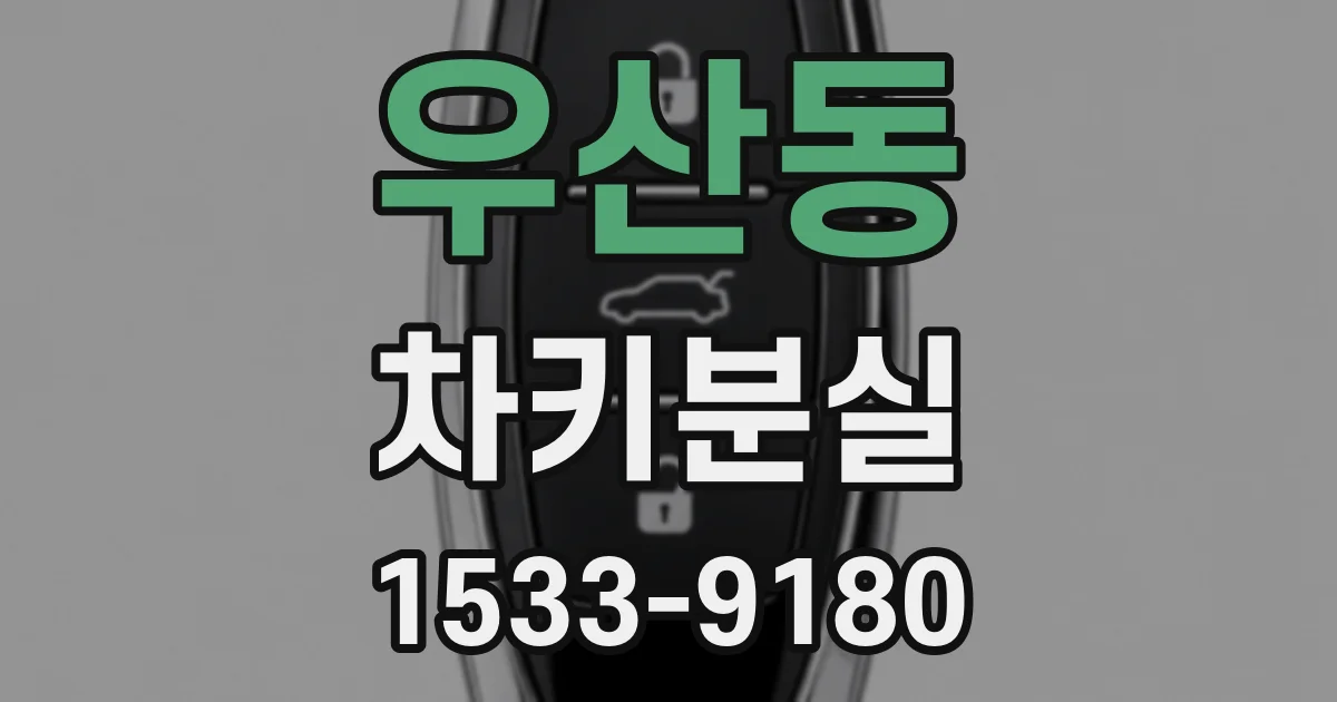 우산동 차키분실