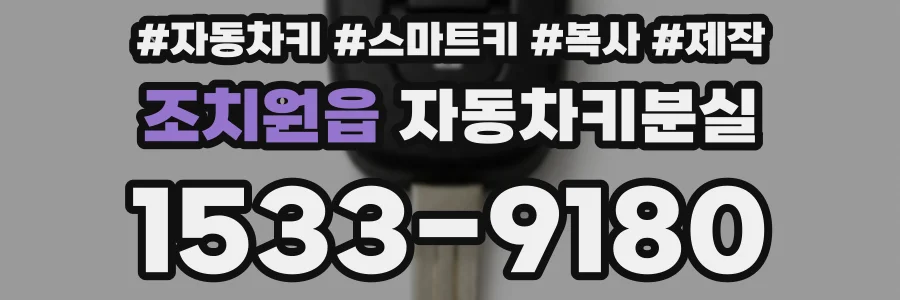 조치원읍 자동차키분실