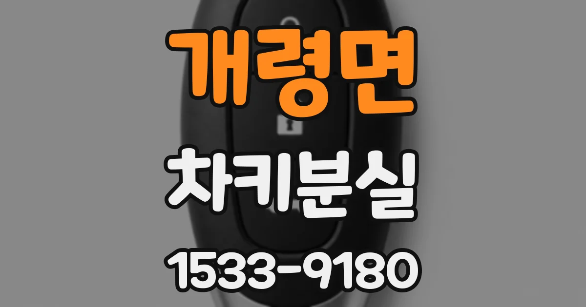 개령면 차키분실