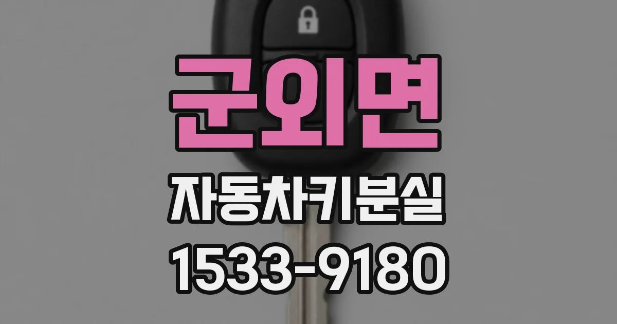 군외면 자동차키분실