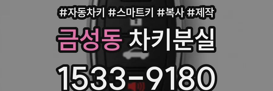 금성동 차키분실