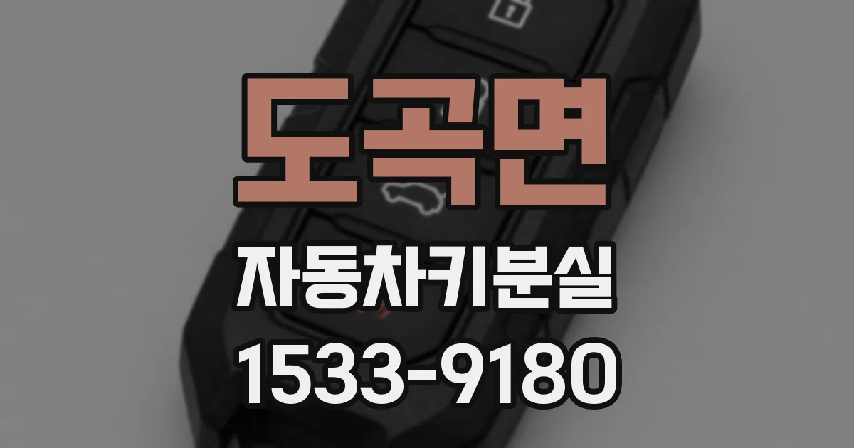 도곡면 자동차키분실