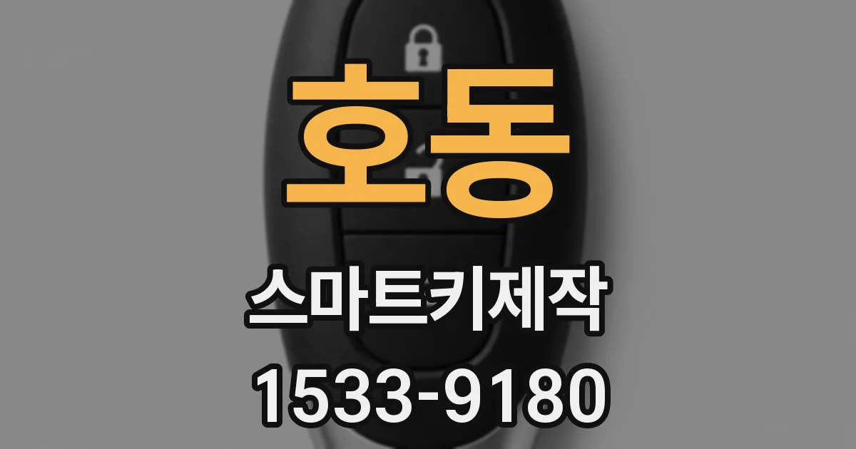 호동 스마트키제작