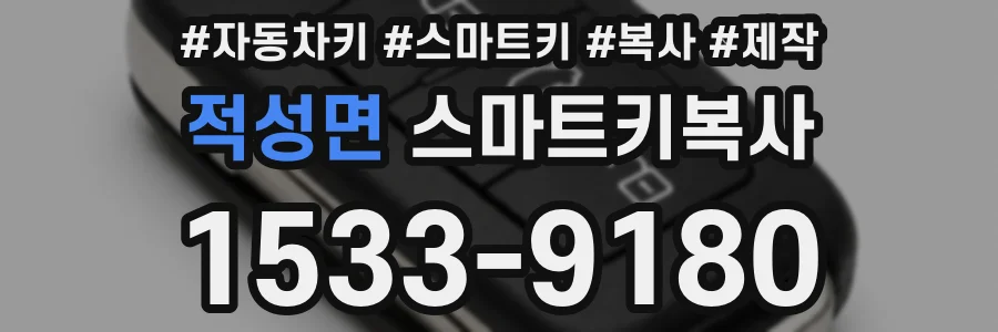 적성면 스마트키복사