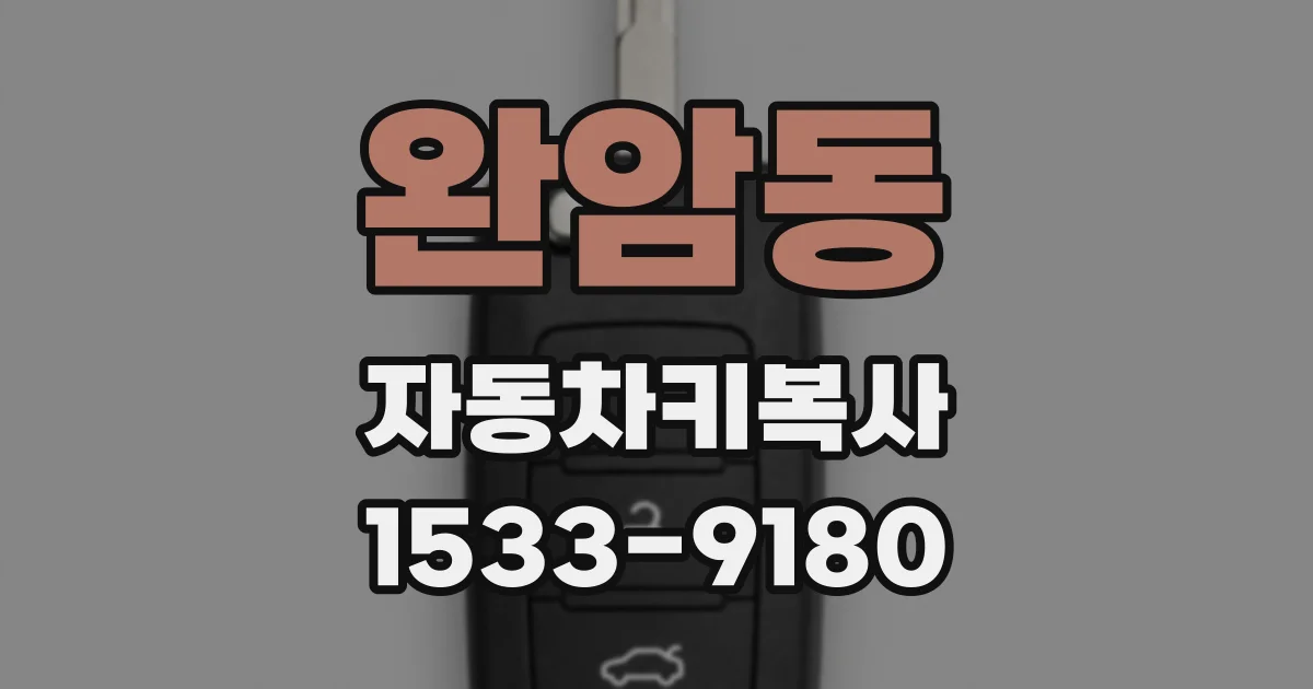 완암동 자동차키복사