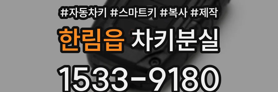 한림읍 차키분실