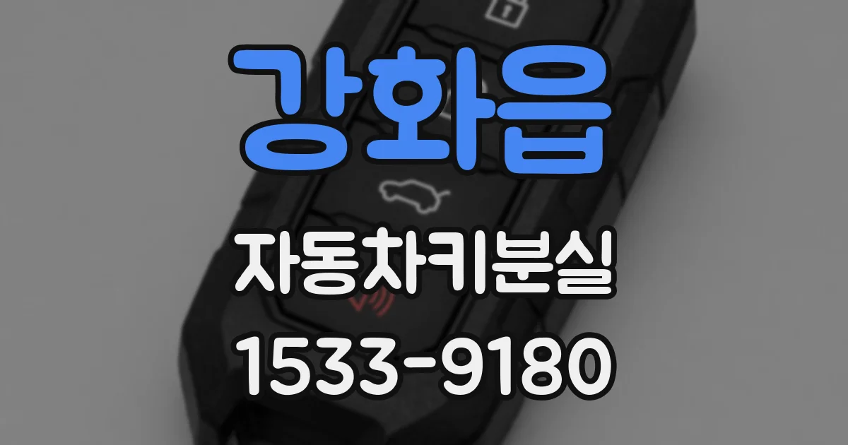 강화읍 자동차키분실
