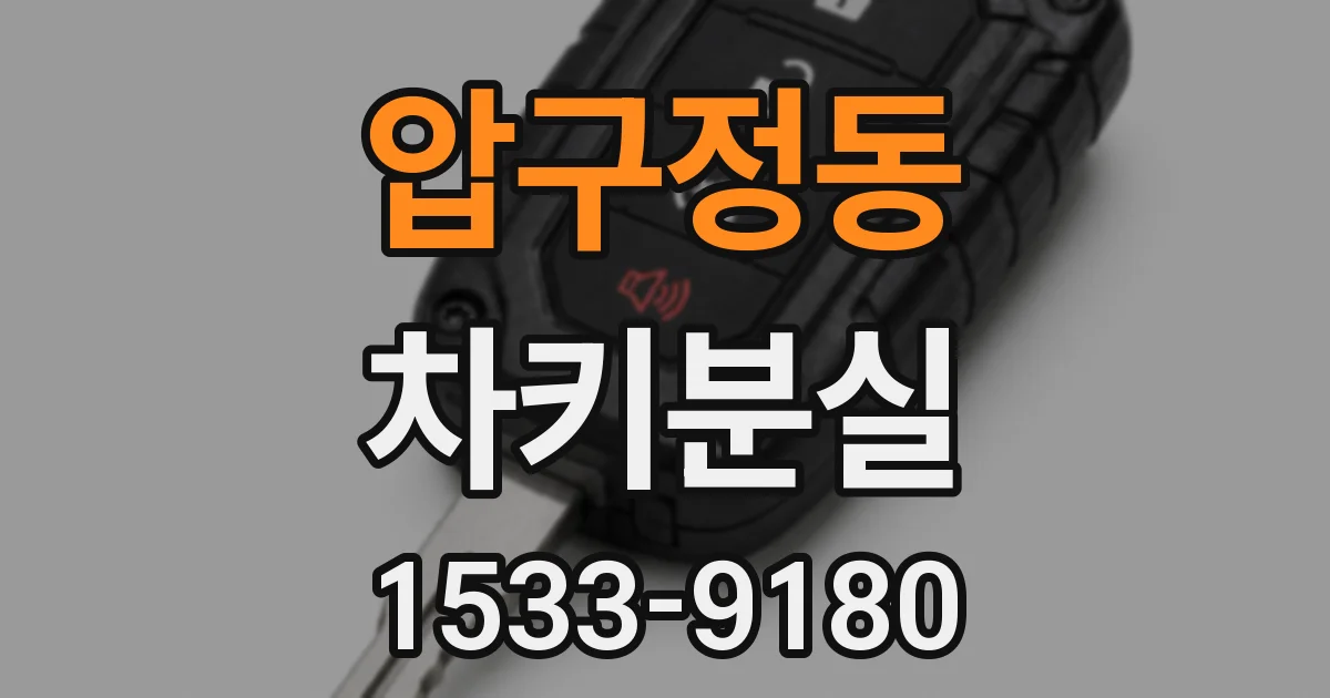 압구정동 차키분실