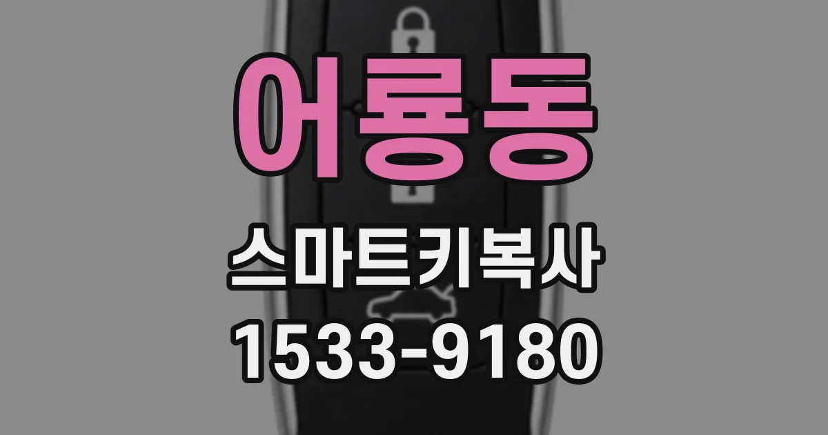 어룡동 스마트키복사