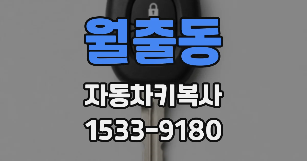 월출동 자동차키복사