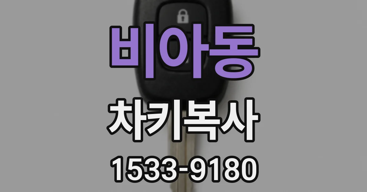 비아동 차키복사